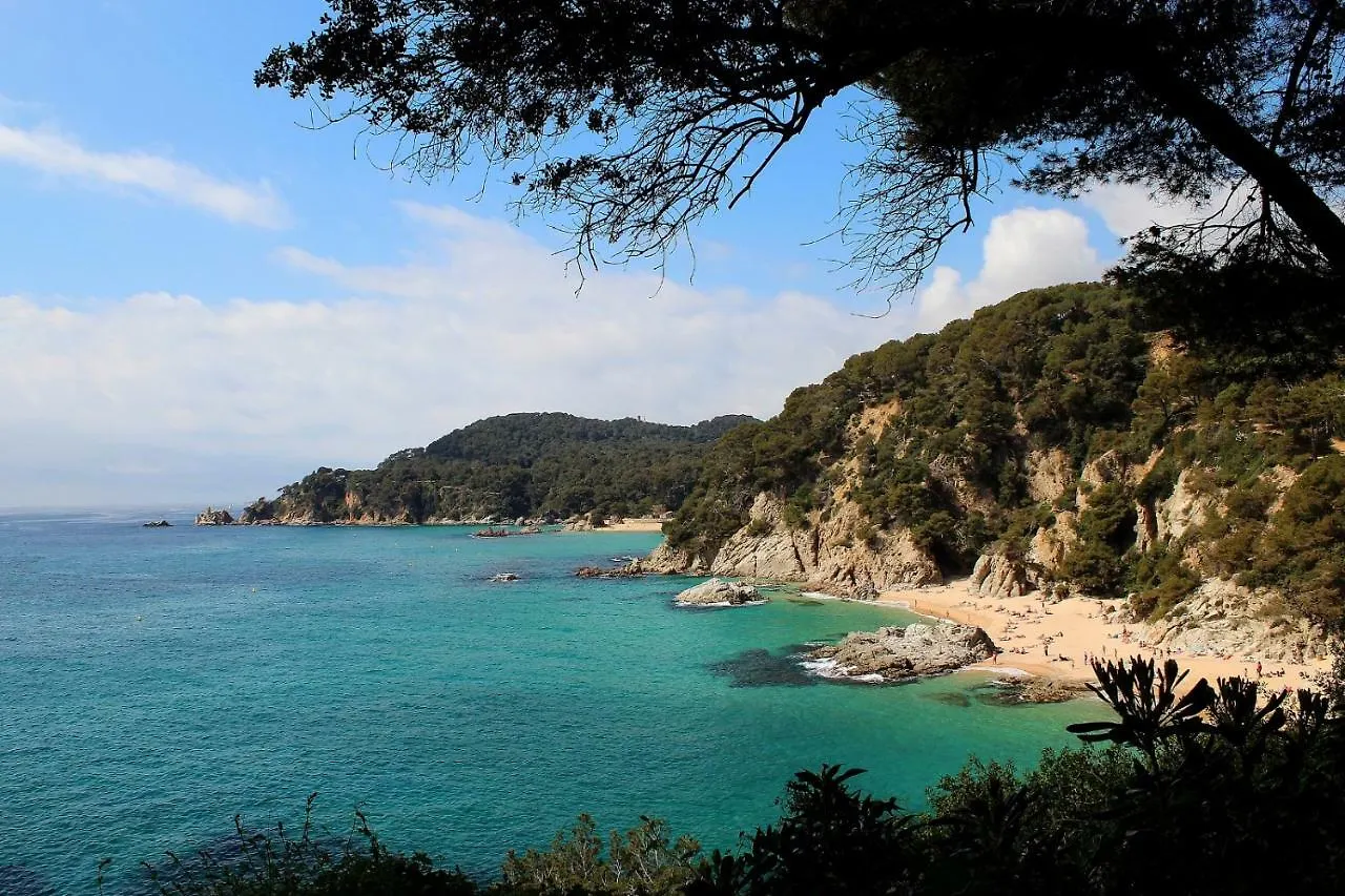 Alva Park Holidays Lägenhet Lloret de Mar Spanien